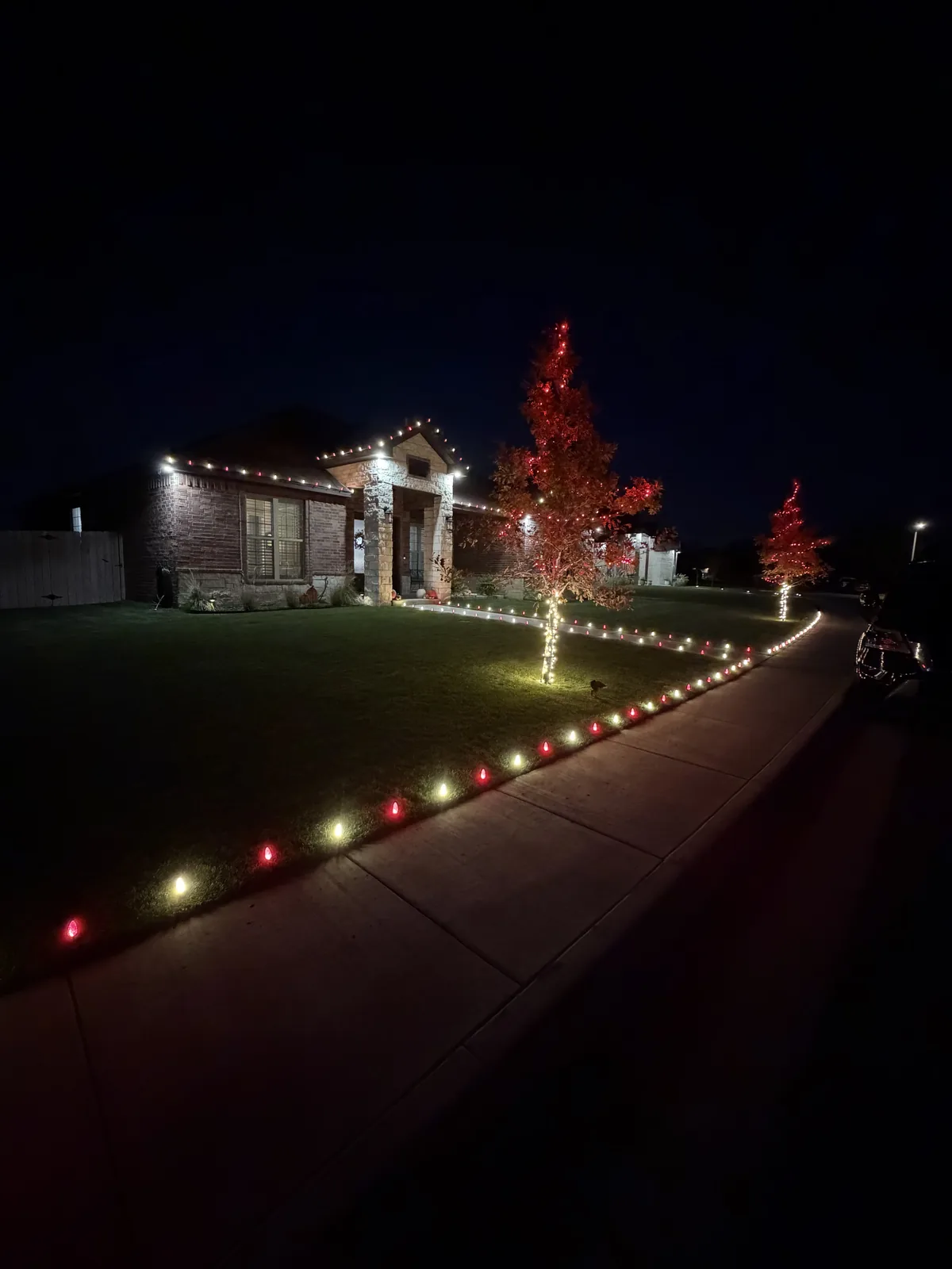 T'n D Christmas light install &mdash; full roofline and trees